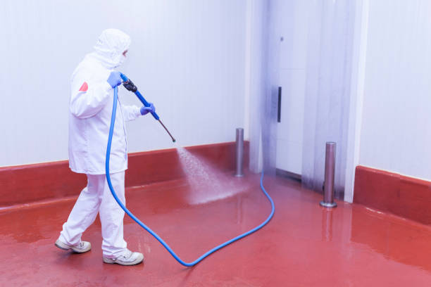 Best Solar Panel Cleaning  in Fresno, TX