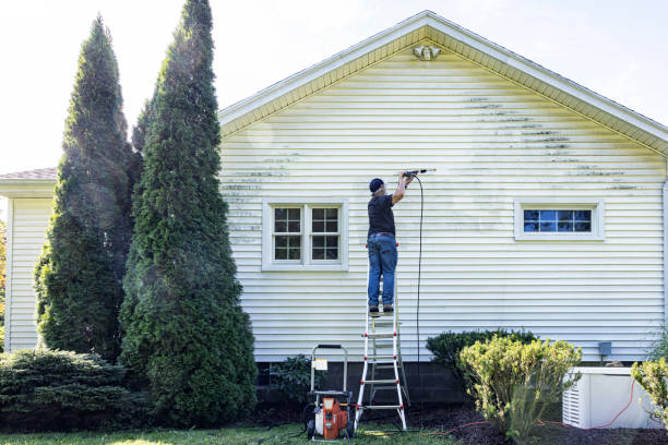 Best Roof Washing  in Fresno, TX